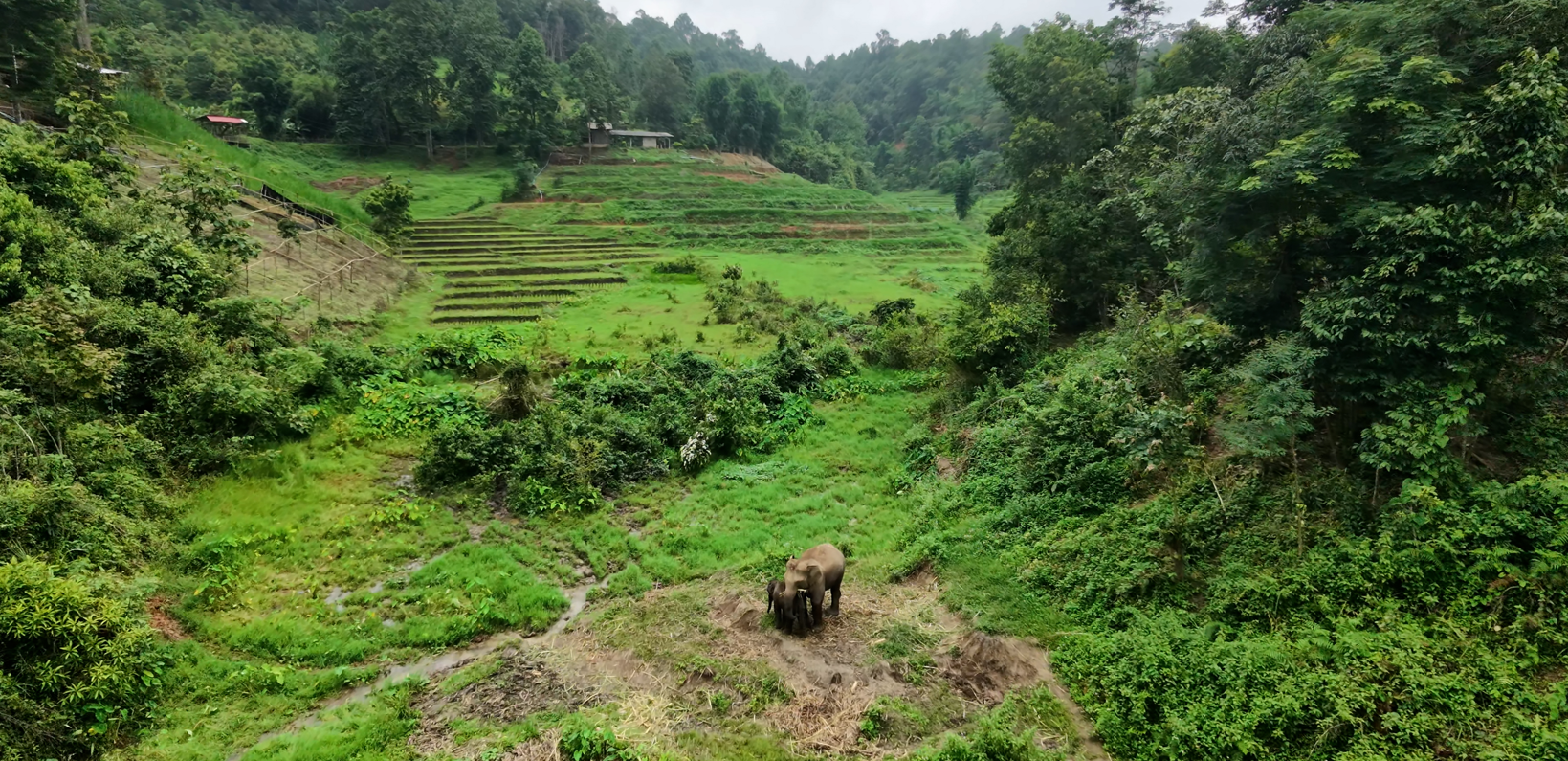 Hill Tribes Ecolodges Home Stay